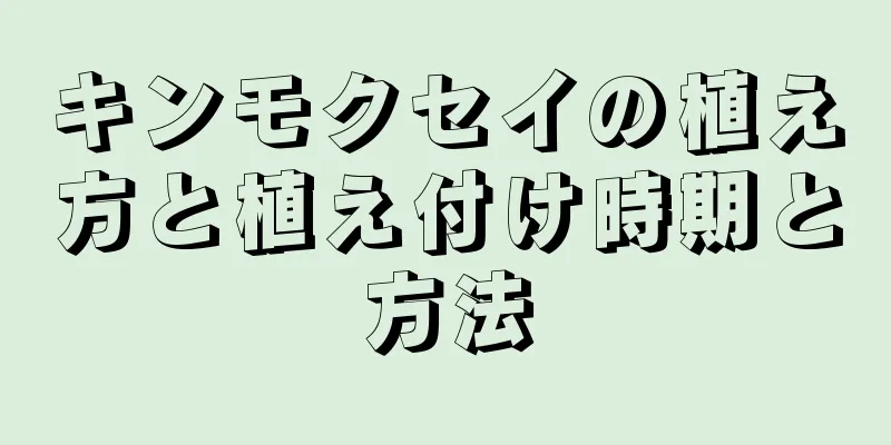 キンモクセイの植え方と植え付け時期と方法