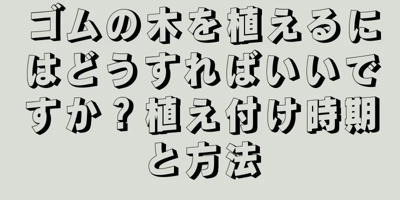 ゴムの木を植えるにはどうすればいいですか？植え付け時期と方法