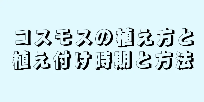 コスモスの植え方と植え付け時期と方法