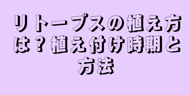 リトープスの植え方は？植え付け時期と方法