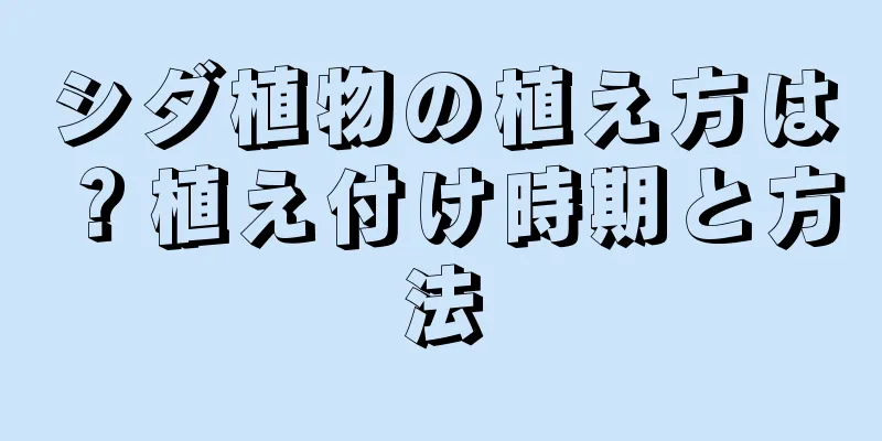 シダ植物の植え方は？植え付け時期と方法