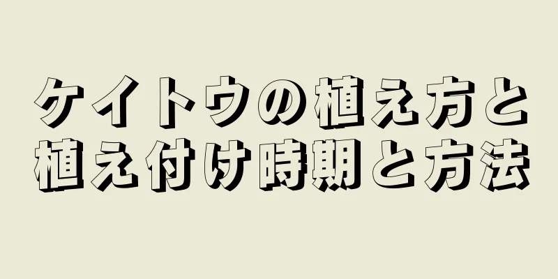 ケイトウの植え方と植え付け時期と方法