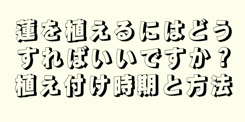 蓮を植えるにはどうすればいいですか？植え付け時期と方法