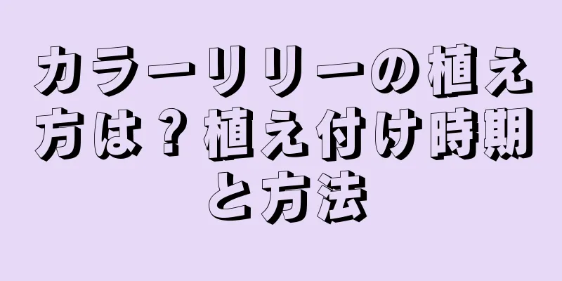 カラーリリーの植え方は？植え付け時期と方法