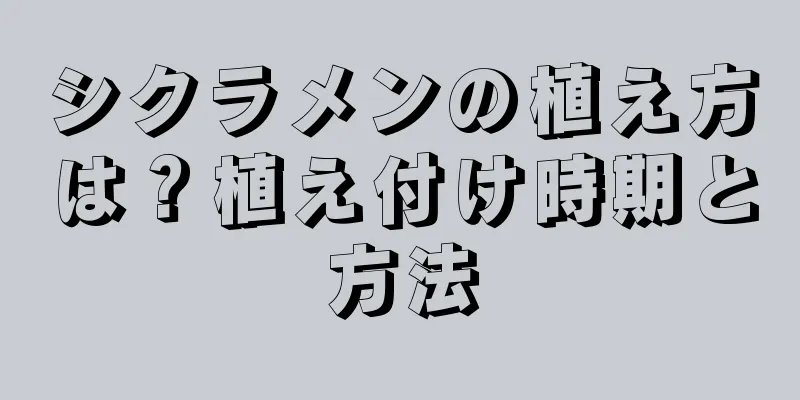 シクラメンの植え方は？植え付け時期と方法