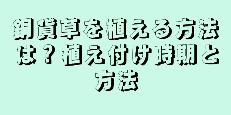 銅貨草を植える方法は？植え付け時期と方法
