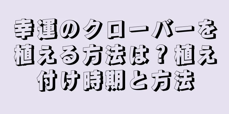 幸運のクローバーを植える方法は？植え付け時期と方法