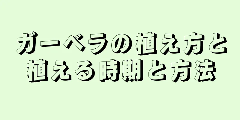 ガーベラの植え方と植える時期と方法