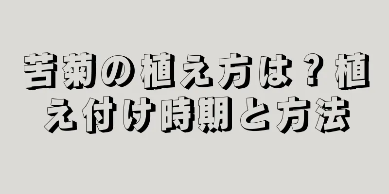 苦菊の植え方は？植え付け時期と方法