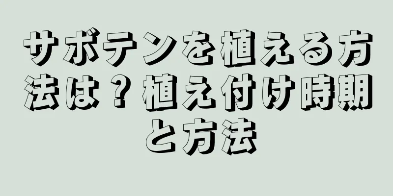 サボテンを植える方法は？植え付け時期と方法