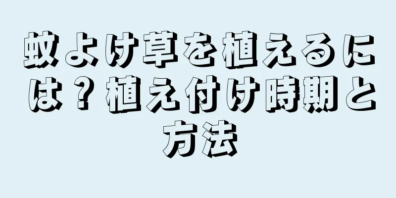 蚊よけ草を植えるには？植え付け時期と方法