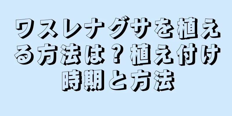 ワスレナグサを植える方法は？植え付け時期と方法