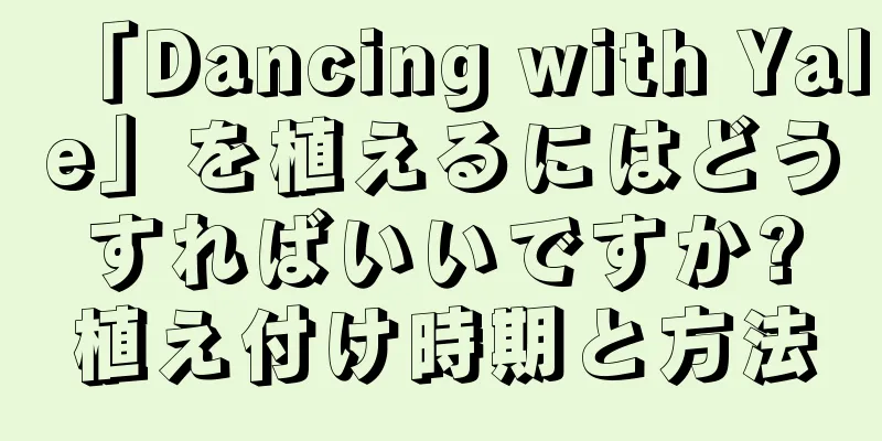 「Dancing with Yale」を植えるにはどうすればいいですか?植え付け時期と方法
