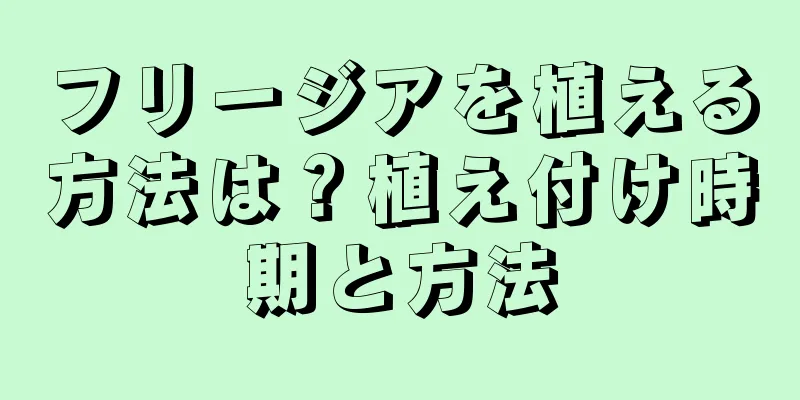 フリージアを植える方法は？植え付け時期と方法