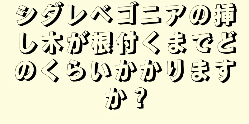 シダレベゴニアの挿し木が根付くまでどのくらいかかりますか？