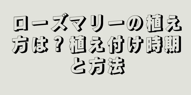 ローズマリーの植え方は？植え付け時期と方法