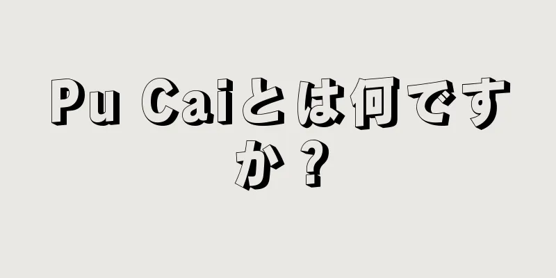 Pu Caiとは何ですか？