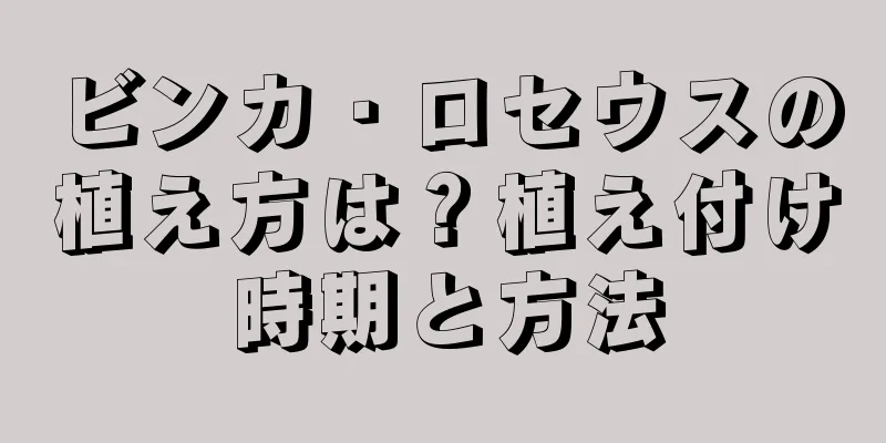 ビンカ・ロセウスの植え方は？植え付け時期と方法
