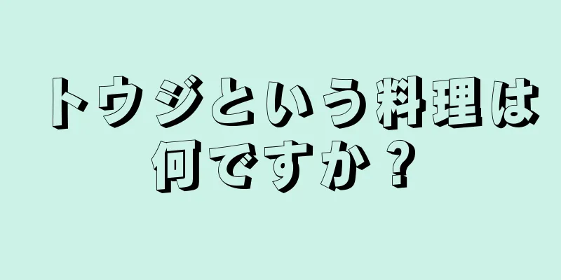 トウジという料理は何ですか？