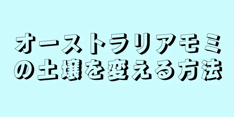 オーストラリアモミの土壌を変える方法