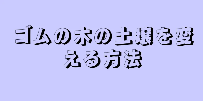 ゴムの木の土壌を変える方法