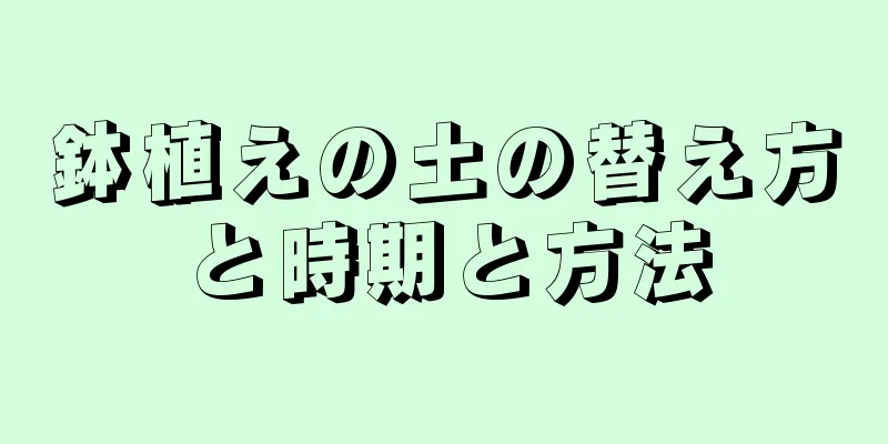 鉢植えの土の替え方と時期と方法