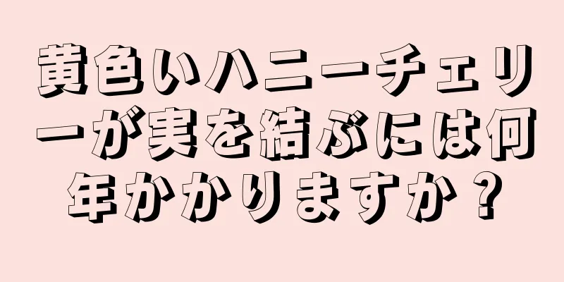 黄色いハニーチェリーが実を結ぶには何年かかりますか？