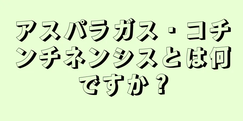 アスパラガス・コチンチネンシスとは何ですか？