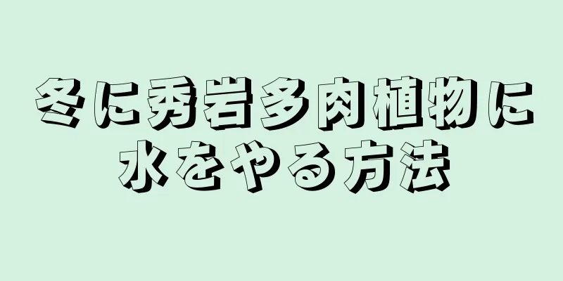 冬に秀岩多肉植物に水をやる方法