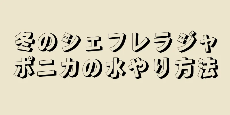 冬のシェフレラジャポニカの水やり方法