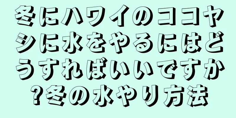 冬にハワイのココヤシに水をやるにはどうすればいいですか?冬の水やり方法