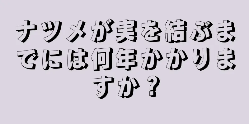 ナツメが実を結ぶまでには何年かかりますか？