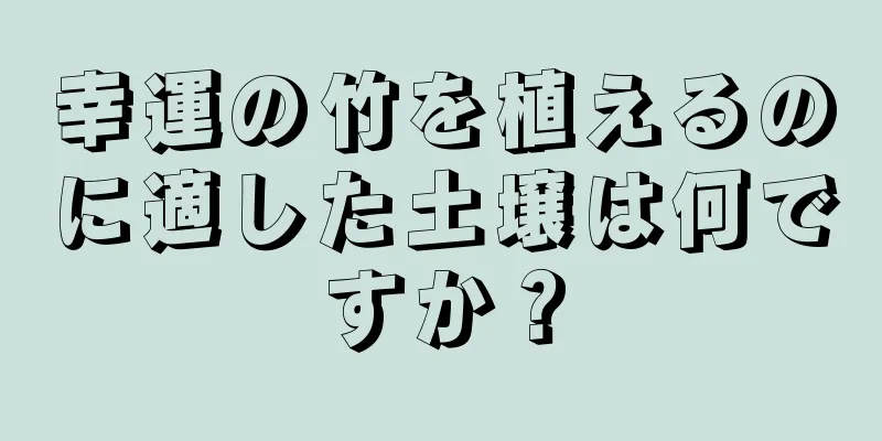 幸運の竹を植えるのに適した土壌は何ですか？