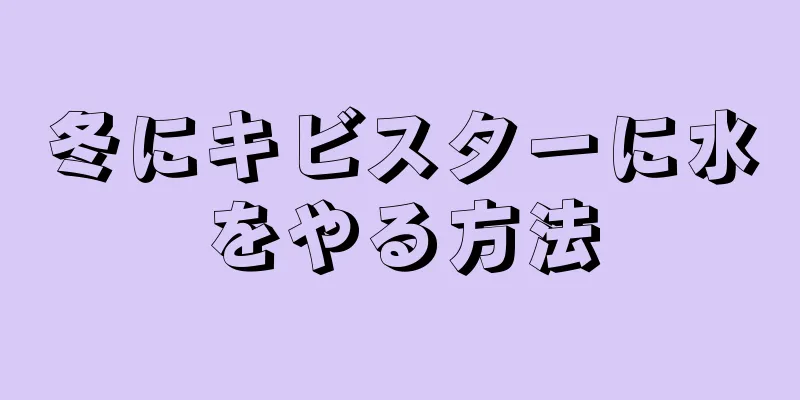 冬にキビスターに水をやる方法