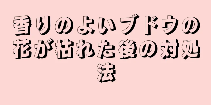 香りのよいブドウの花が枯れた後の対処法