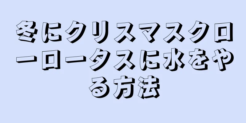 冬にクリスマスクローロータスに水をやる方法