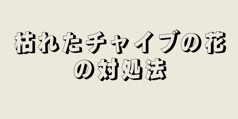 枯れたチャイブの花の対処法
