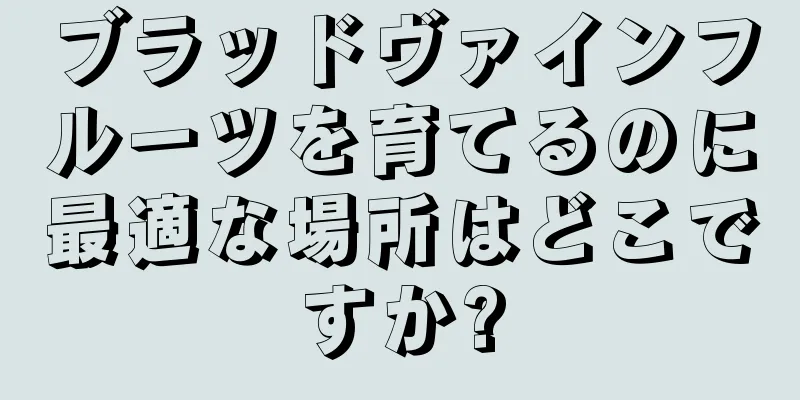 ブラッドヴァインフルーツを育てるのに最適な場所はどこですか?