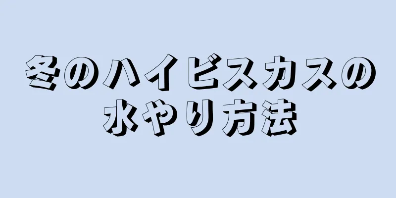 冬のハイビスカスの水やり方法
