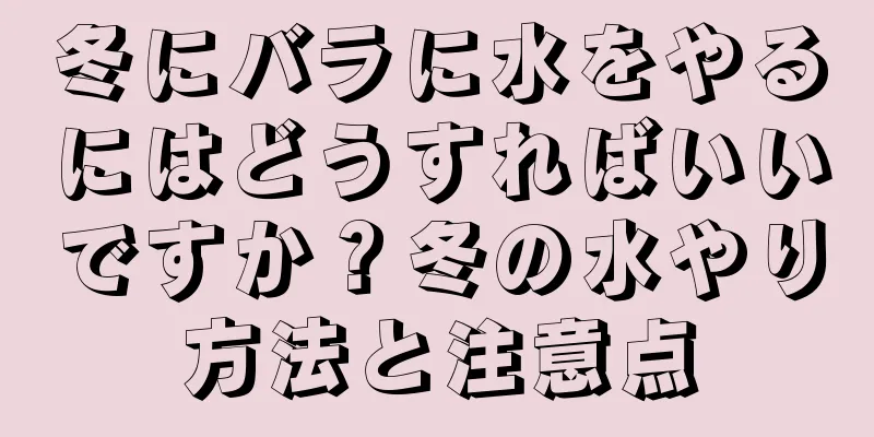 冬にバラに水をやるにはどうすればいいですか？冬の水やり方法と注意点
