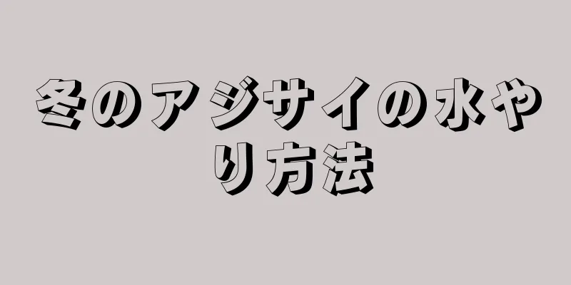 冬のアジサイの水やり方法