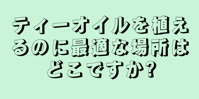 ティーオイルを植えるのに最適な場所はどこですか?