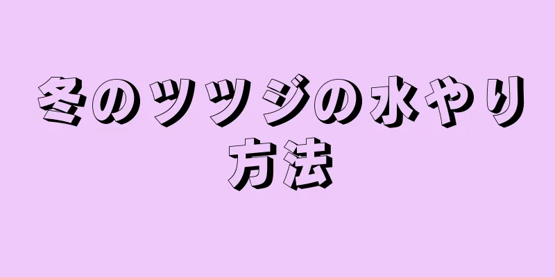 冬のツツジの水やり方法