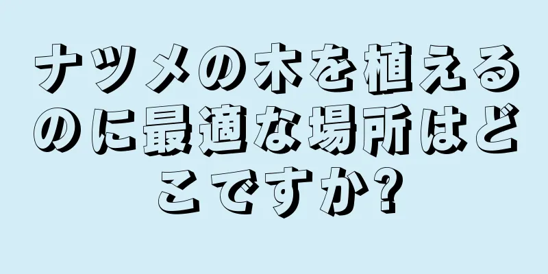 ナツメの木を植えるのに最適な場所はどこですか?
