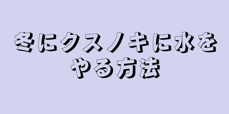 冬にクスノキに水をやる方法