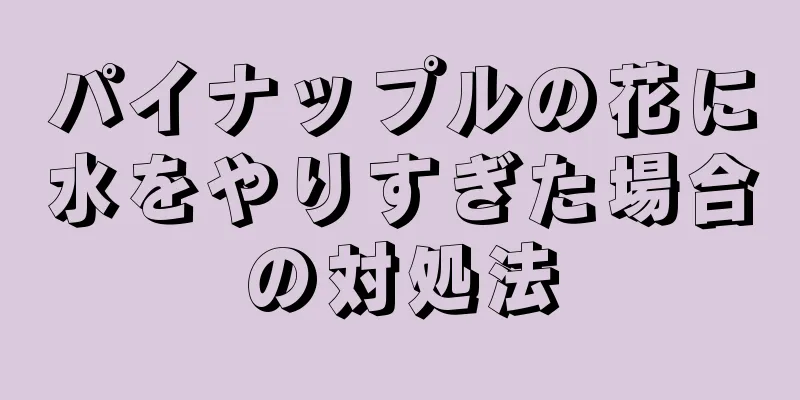 パイナップルの花に水をやりすぎた場合の対処法