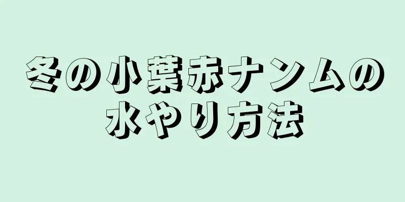 冬の小葉赤ナンムの水やり方法