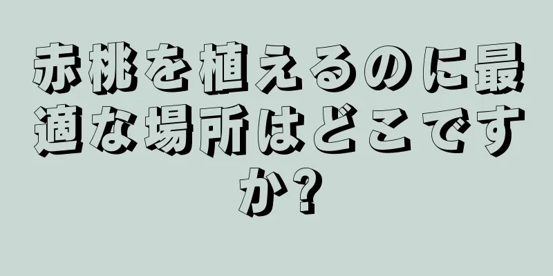 赤桃を植えるのに最適な場所はどこですか?