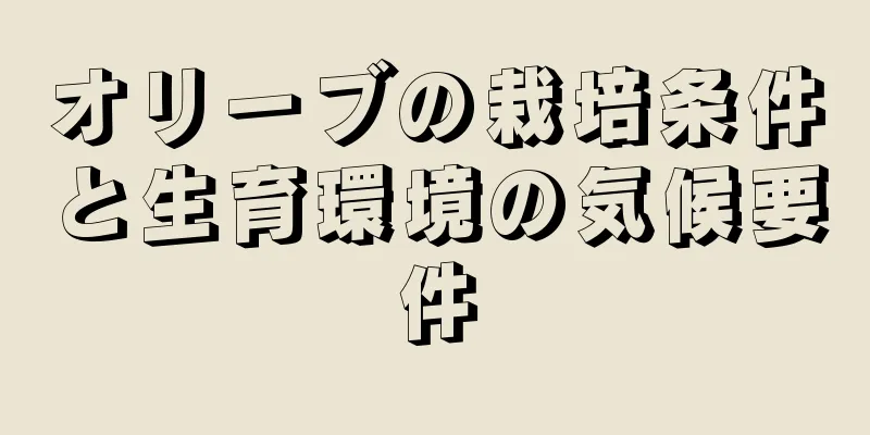 オリーブの栽培条件と生育環境の気候要件