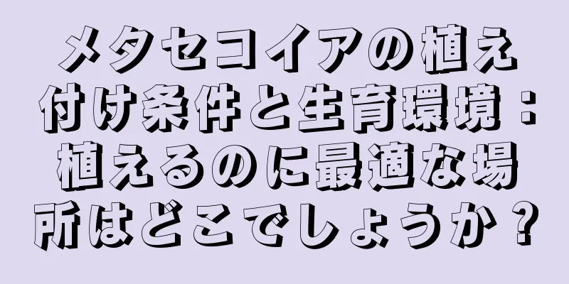 メタセコイアの植え付け条件と生育環境：植えるのに最適な場所はどこでしょうか？